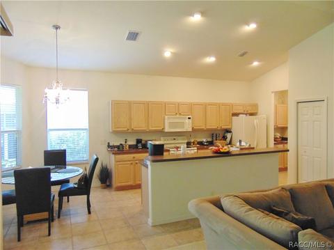 980 W Silver Meadow Loop, Hernando, FL 34442 photo 11