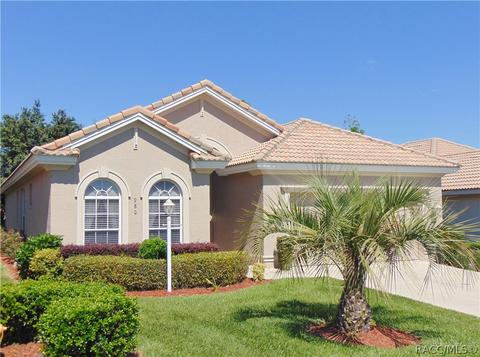 980 W Silver Meadow Loop, Hernando, FL 34442 photo 1