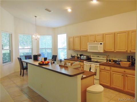 980 W Silver Meadow Loop, Hernando, FL 34442 photo 12