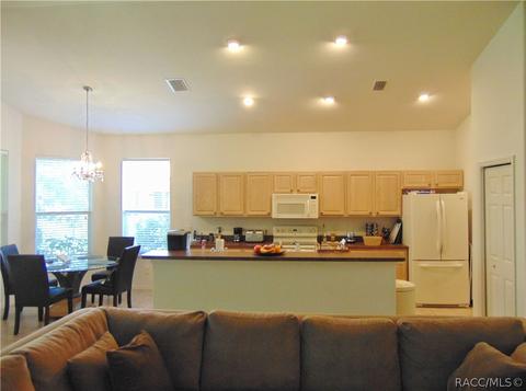 980 W Silver Meadow Loop, Hernando, FL 34442 photo 14