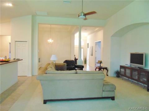 980 W Silver Meadow Loop, Hernando, FL 34442 photo 7