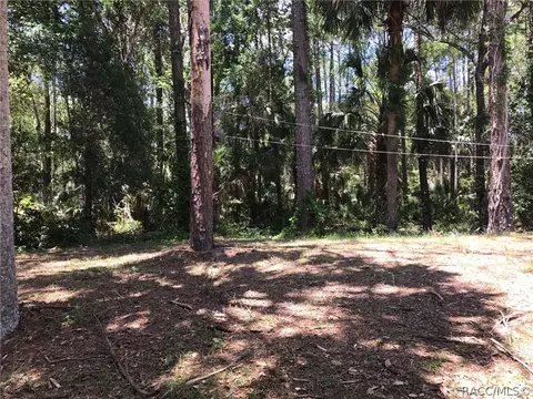 272 Vicki St, Inglis, FL 34449 photo 10