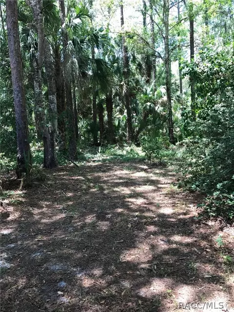 272 Vicki St, Inglis, FL 34449 photo 5