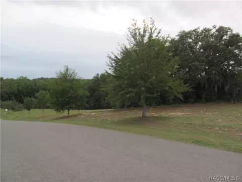 3076 N Clements Ave, Hernando, FL 34442 photo 1