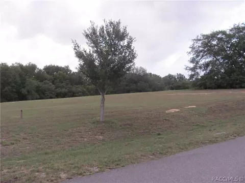 3076 N Clements Ave, Hernando, FL 34442 photo 10