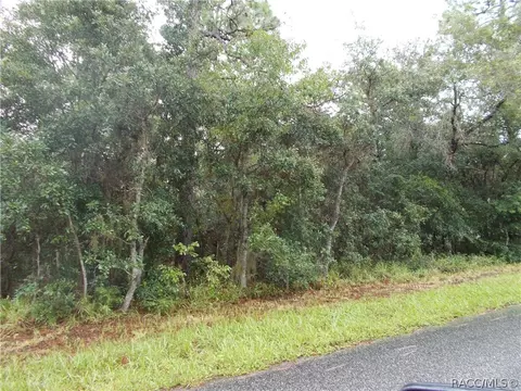 2867 N Hamlin Ter, Hernando, FL 34442 photo 1