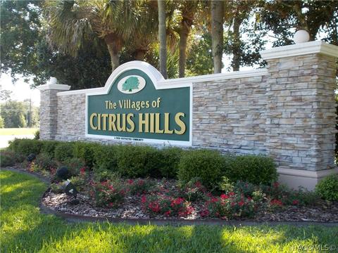 3692 N Eisenhower Ave, Hernando, FL 34442 photo 2