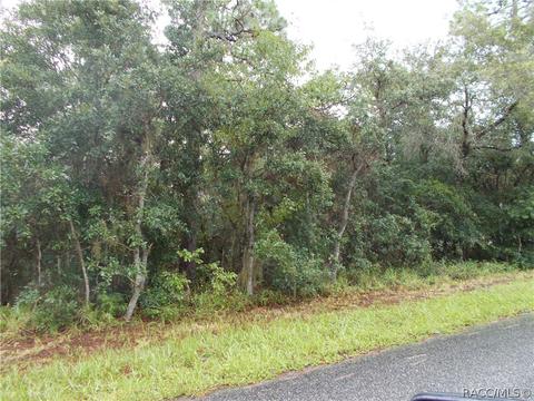 3692 N Eisenhower Ave, Hernando, FL 34442 photo 1