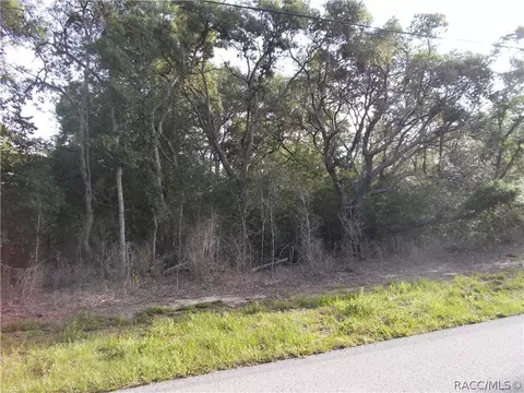 1059 E Bismark St, Hernando, FL 34442 photo 1