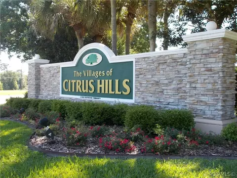 1059 E Bismark St, Hernando, FL 34442 photo 3