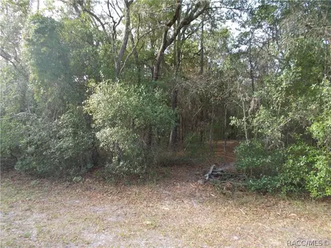 1882 E Bismark St, Hernando, FL 34442 photo 2