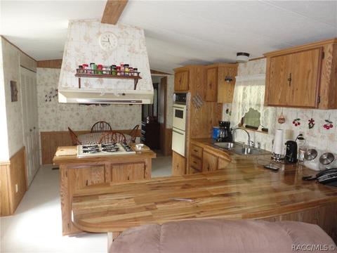4272 E Van Ness Rd, Hernando, FL 34442 photo 5