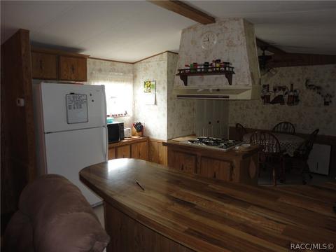 4272 E Van Ness Rd, Hernando, FL 34442 photo 6