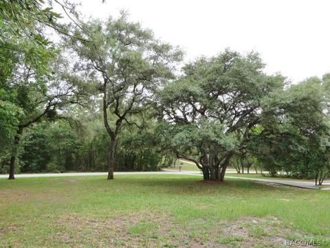 1121 E Rockefeller Ln, Hernando, FL 34442 photo 40
