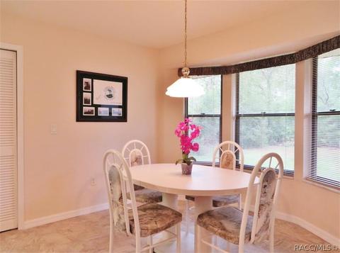 1121 E Rockefeller Ln, Hernando, FL 34442 photo 19