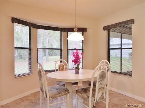 1121 E Rockefeller Ln, Hernando, FL 34442 photo 18