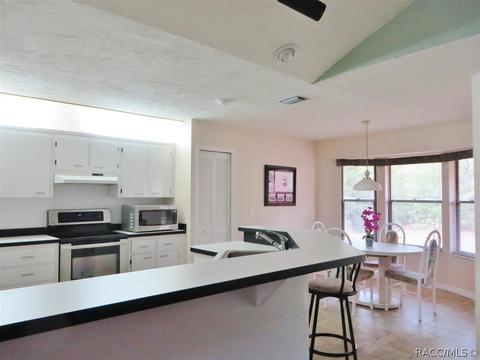 1121 E Rockefeller Ln, Hernando, FL 34442 photo 12