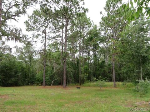 1121 E Rockefeller Ln, Hernando, FL 34442 photo 3