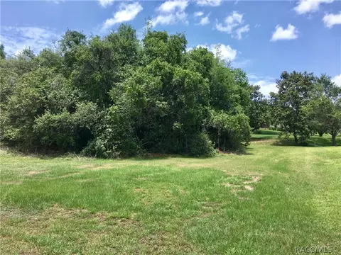 385 E Ireland Ct, Hernando, FL 34442 photo 1