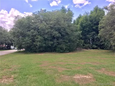 385 E Ireland Ct, Hernando, FL 34442 photo 3