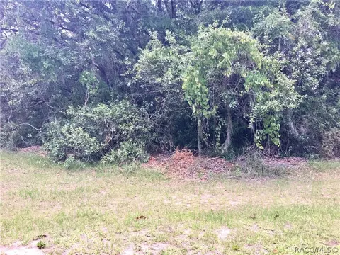 385 E Ireland Ct, Hernando, FL 34442 photo 2