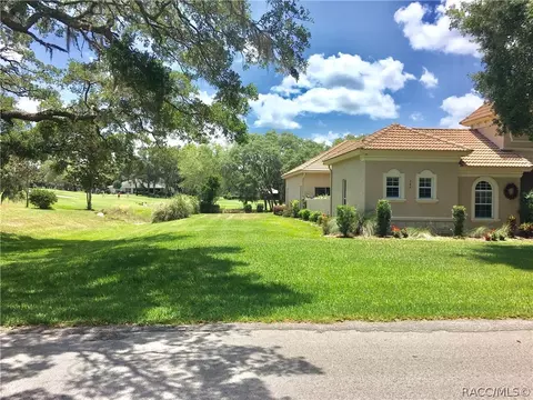 385 E Ireland Ct, Hernando, FL 34442 photo 8