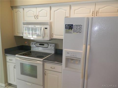 1405 N Man O War Dr, Hernando, FL 34442 photo 5