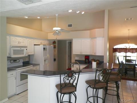 1405 N Man O War Dr, Hernando, FL 34442 photo 10