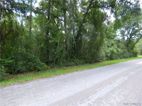 3007 E Timberwood Ct, Hernando, FL 34442 photo 1