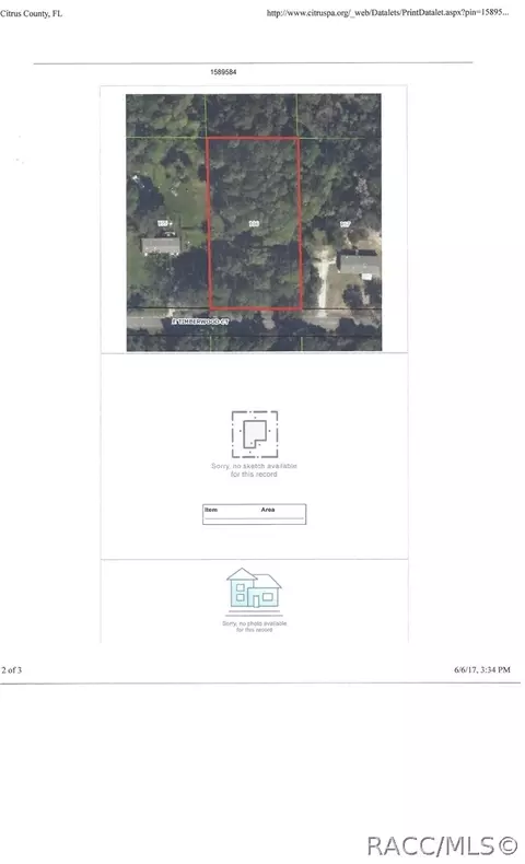 3007 E Timberwood Ct, Hernando, FL 34442 photo 5