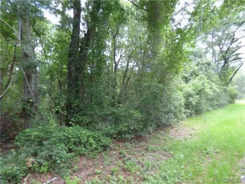 3007 E Timberwood Ct, Hernando, FL 34442 photo 2