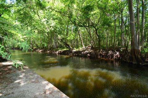4251 E Riverside Dr, Dunnellon, FL 34434 photo 50