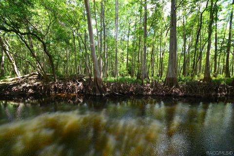 4251 E Riverside Dr, Dunnellon, FL 34434 photo 43