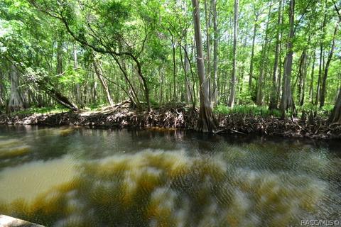 4251 E Riverside Dr, Dunnellon, FL 34434 photo 40