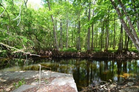 4251 E Riverside Dr, Dunnellon, FL 34434 photo 44