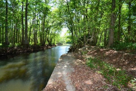 4251 E Riverside Dr, Dunnellon, FL 34434 photo 39