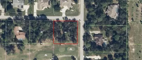 820 E Jenkins Ct, Hernando, FL 34442 photo 1