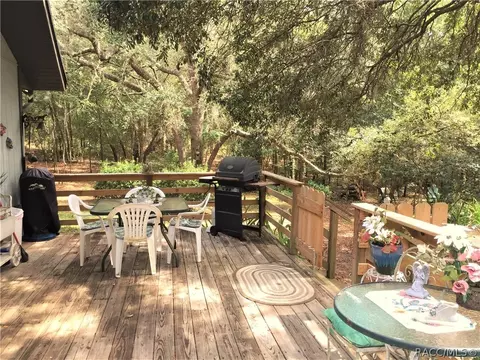 348 E Benjamin St, Hernando, FL 34442 photo 30