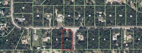 204 E Savoy St, Lecanto, FL 34461 photo 28