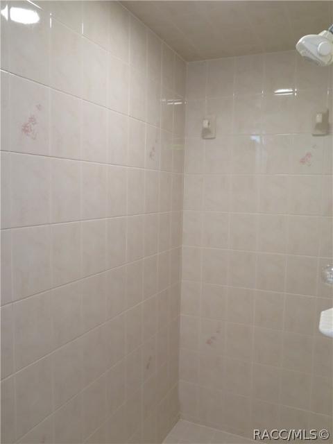204 E Savoy St, Lecanto, FL 34461 photo 10