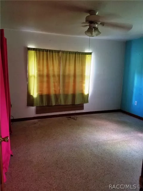 3520 E Olive Ln, Hernando, FL 34442 photo 6