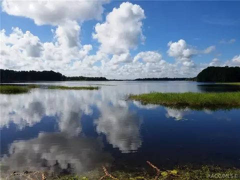3520 E Olive Ln, Hernando, FL 34442 photo 23
