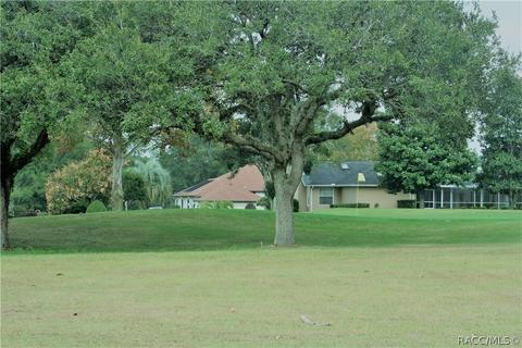 235 Eureka Ct, Hernando, FL 34442 photo 4