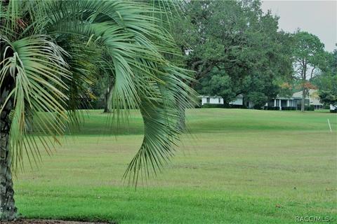 235 Eureka Ct, Hernando, FL 34442 photo 1