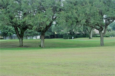 235 Eureka Ct, Hernando, FL 34442 photo 3