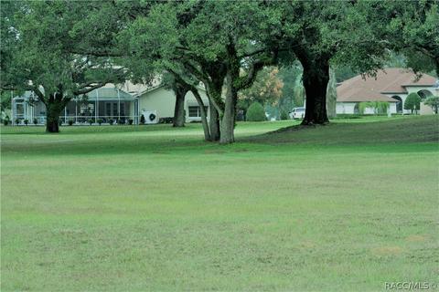 235 Eureka Ct, Hernando, FL 34442 photo 2