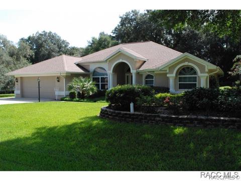 2881 N Chandler Dr, Hernando, FL 34442 photo 5