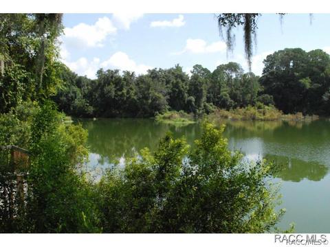 2881 N Chandler Dr, Hernando, FL 34442 photo 42