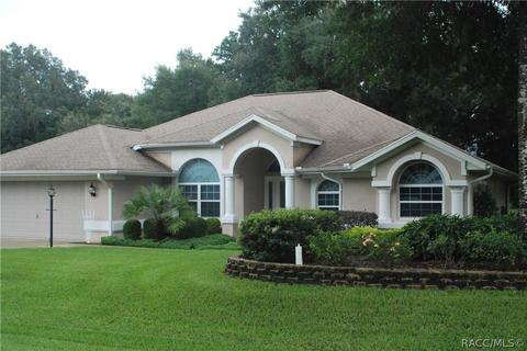 2881 N Chandler Dr, Hernando, FL 34442 photo 2