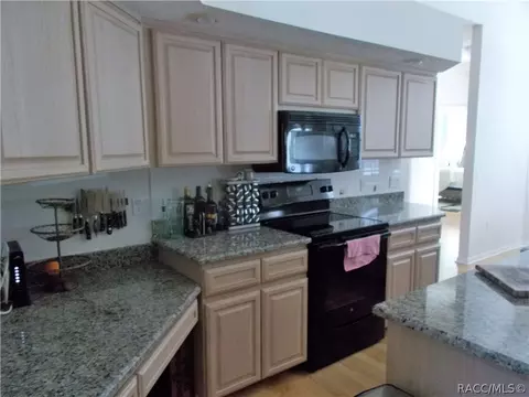 1309 N Abalone Ter, Hernando, FL 34442 photo 4